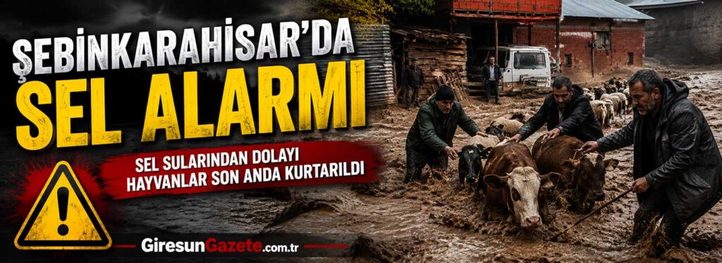 Sel sularından dolayı hayvanlar son anda kurtarıldı