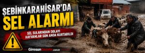 Sel sularından dolayı hayvanlar son anda kurtarıldı