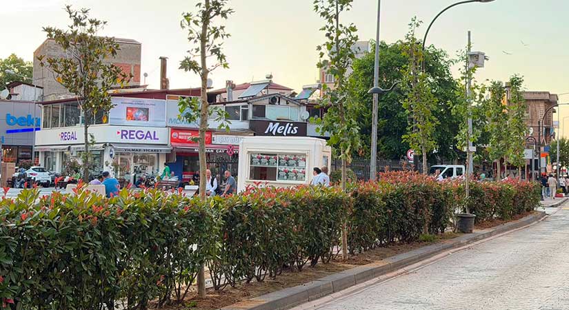 Bulancak Meydanı çınarlarla buluştu