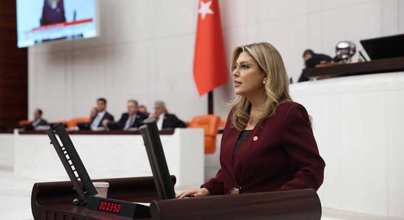Gezmiş’ten demir yolu için kritik önerge