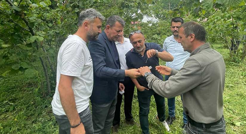 5 bin 600 samuray arısı doğaya bırakıldı