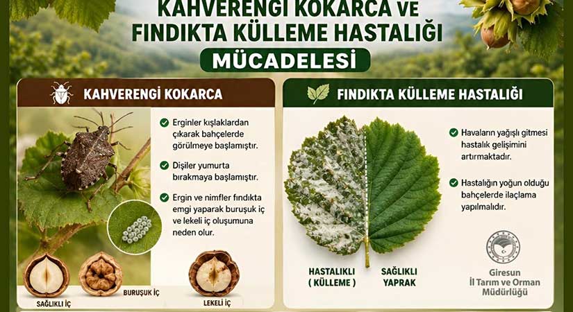 Tarım Müdürlüğü’nden kritik uyarı
