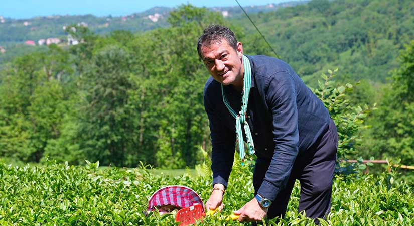 Köse çay hasadına katıldı