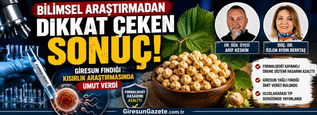 Giresun fındığı kısırlık araştırmasında umut verdi