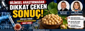 Giresun fındığı kısırlık araştırmasında umut verdi