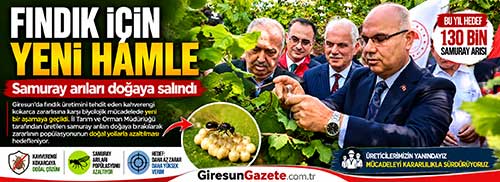 Samuray arıları doğaya salındı