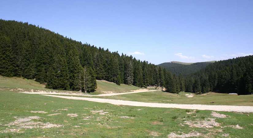 Bektaş Yaylası yolu 2 ay trafiğe kapatıldı