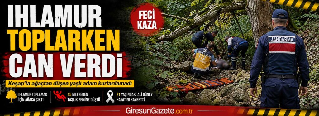 Keşap’ta ağaçtan düşen yaşlı adam kurtarılamadı