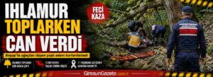 Keşap’ta ağaçtan düşen yaşlı adam kurtarılamadı