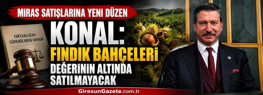 Konal: Fındık bahçeleri değerinin altında satılmayacak