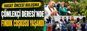 Çömlekçi Deresi’nde fındık coşkusu yaşandı