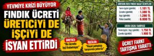 Fındık ücreti üreticiyi de işçiyi de isyan ettirdi