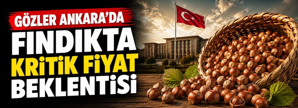 Fındıkta kritik fiyat beklentisi