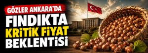 Fındıkta kritik fiyat beklentisi