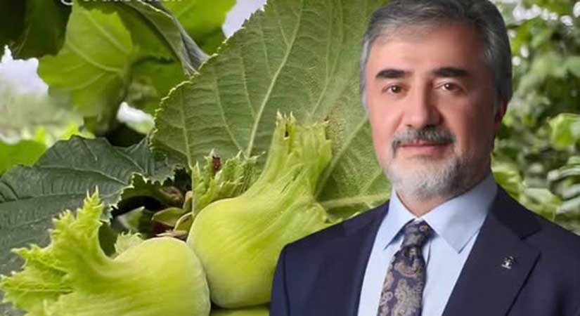 AK Partili Hamarat’tan muhalefete sert çıkış