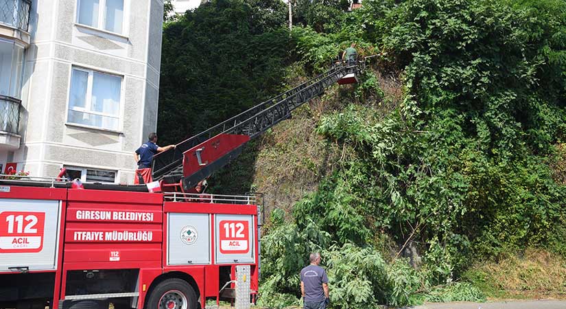 Giresun’da yeşil alanlar bakımdan geçiyor