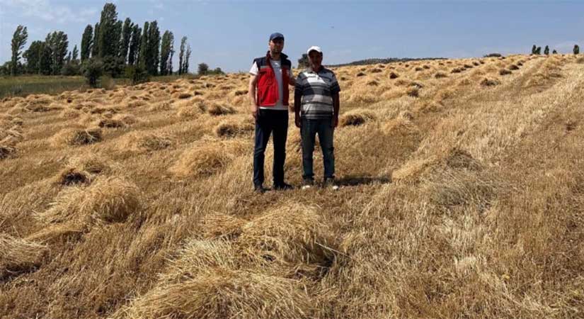Alucra’da çiftçiye tarlada teknik destek