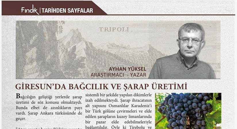 Ayhan Yüksel, Giresun’da bağcılık ve şarap üretimini yazdı