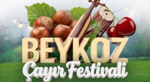 Hayrullah Usta’dan festivale davet