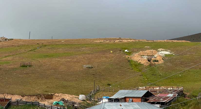 Buları Yaylası’nda kim neden müdahale etmiyor?