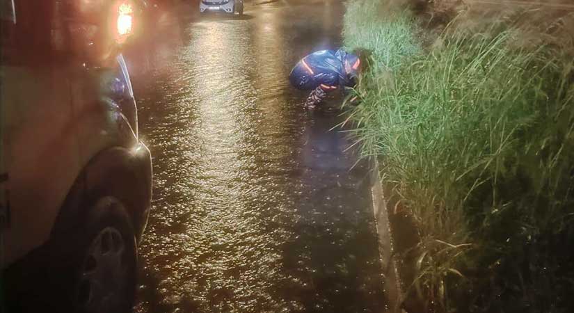 Eynesil’de yağış sonrası ekipler sahaya indi