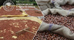 Yanlış kurutma ürünü bozabilir