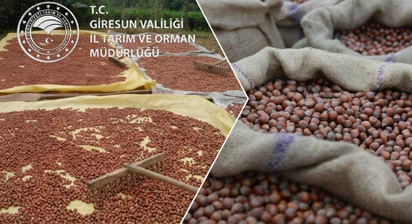 Yanlış kurutma ürünü bozabilir