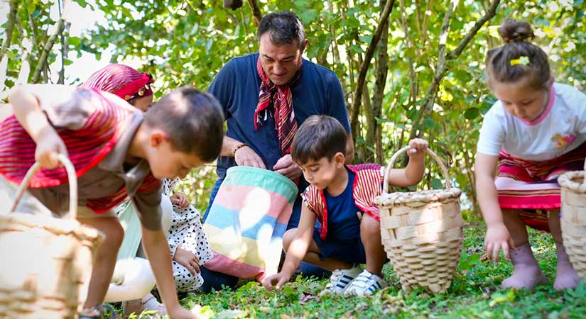 Köse miniklerle fındık topladı