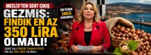 Gezmiş: Fındık en az 350 lira olmalı
