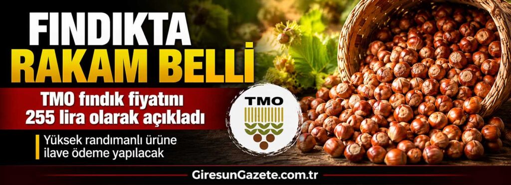 TMO fındık fiyatını 255 lira olarak açıkladı