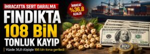 Fındıkta 108 bin tonluk kayıp