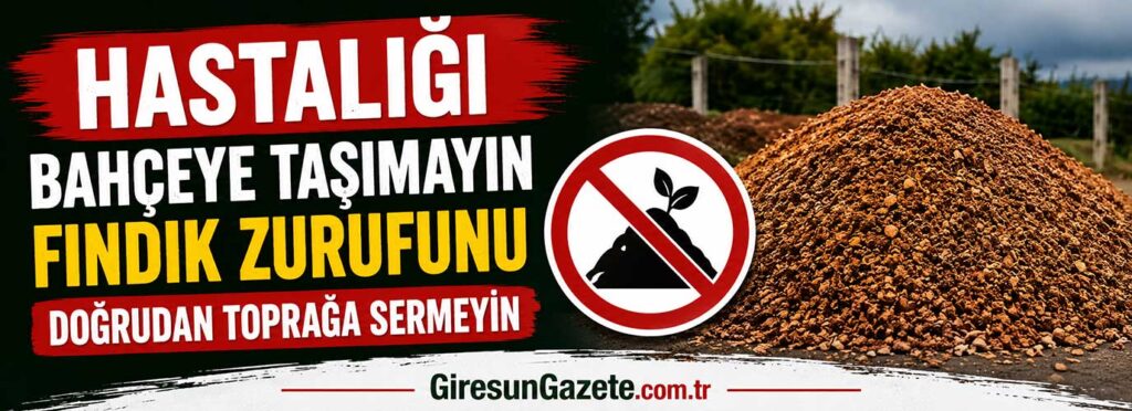 Fındık zurufunu doğrudan toprağa sermeyin