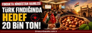 Türk fındığında hedef 20 bin ton