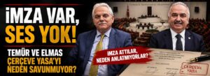 Temür ve Elmas Çerçeve Yasa’yı neden savunmuyor?