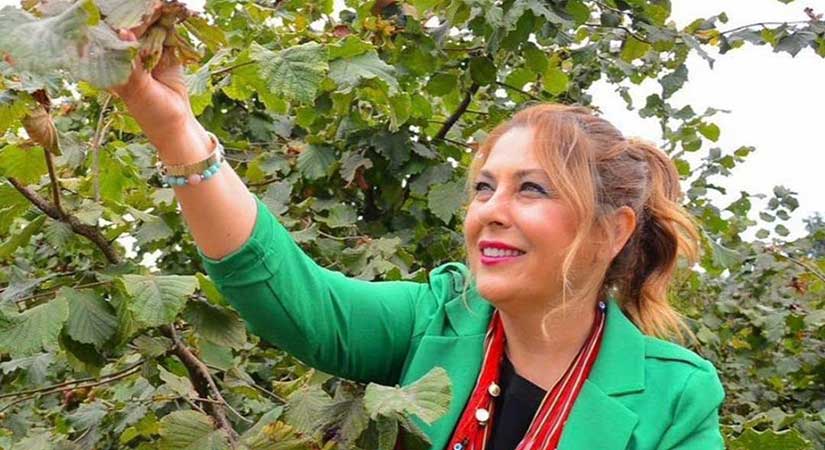 Gezmiş: Karadeniz üreticisi maliyetin altında eziliyor