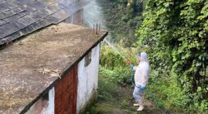 Giresun’da kahverengi kokarcaya karşı ilaçlama çalışmaları genişledi