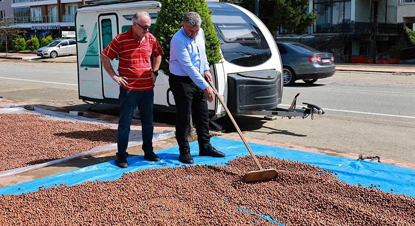 Sıbıç: Fındık gerçek değerini bulmalı