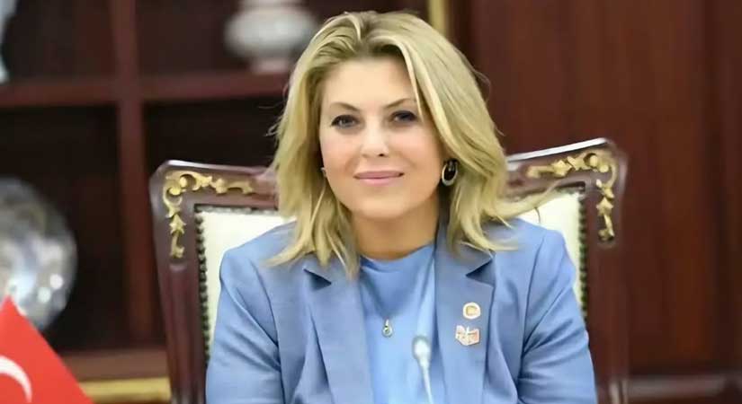 Gezmiş, YENİ Parti yurt dışı koordinatörlüğüne atandı