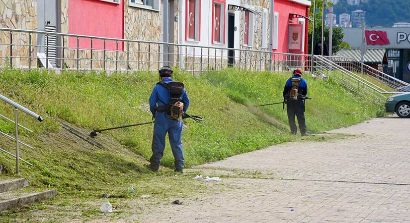 Giresun Belediyesi Gençlik Merkezi çevresindeki yabani otları temizledi