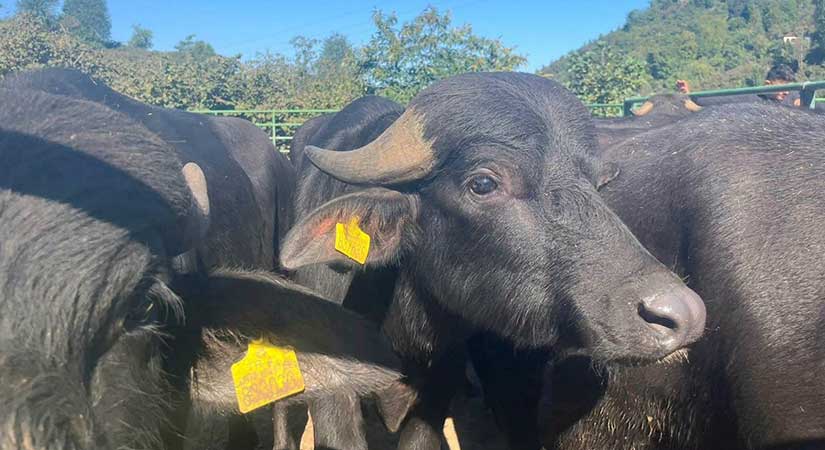 3 bin 974 mandaya yeni destek hamlesi!