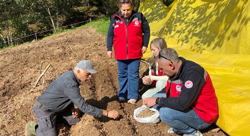 Giresun’da salep üreticisine tarlada uygulamalı rehberlik
