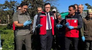 Tirebolu’da 400 sülün doğaya bırakıldı